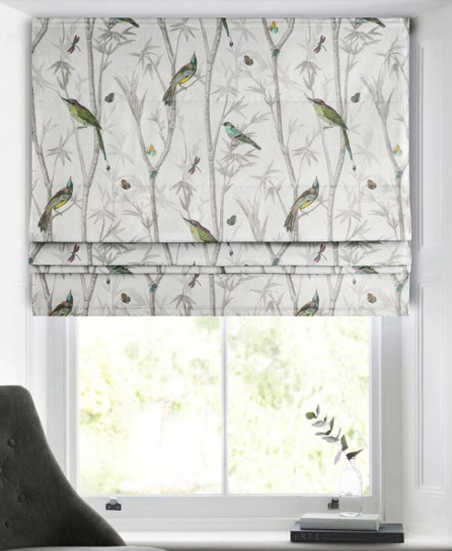 Roller Blinds for Office - Netra Wall Decors